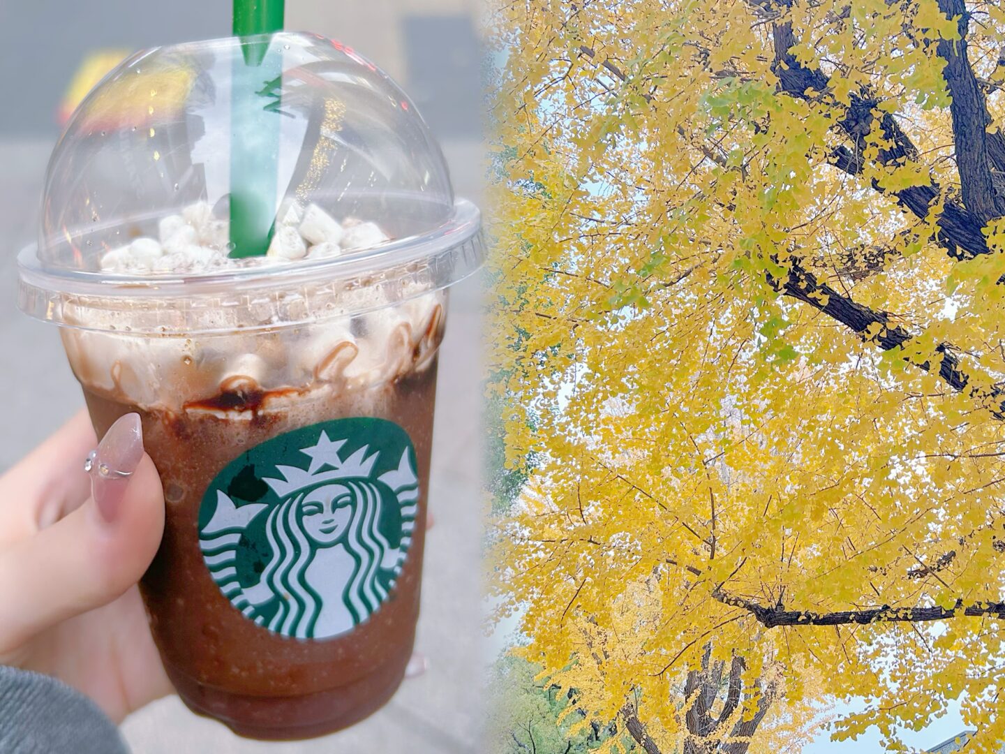 IMG 1534 | 秋葉原メンズエステ ウィール