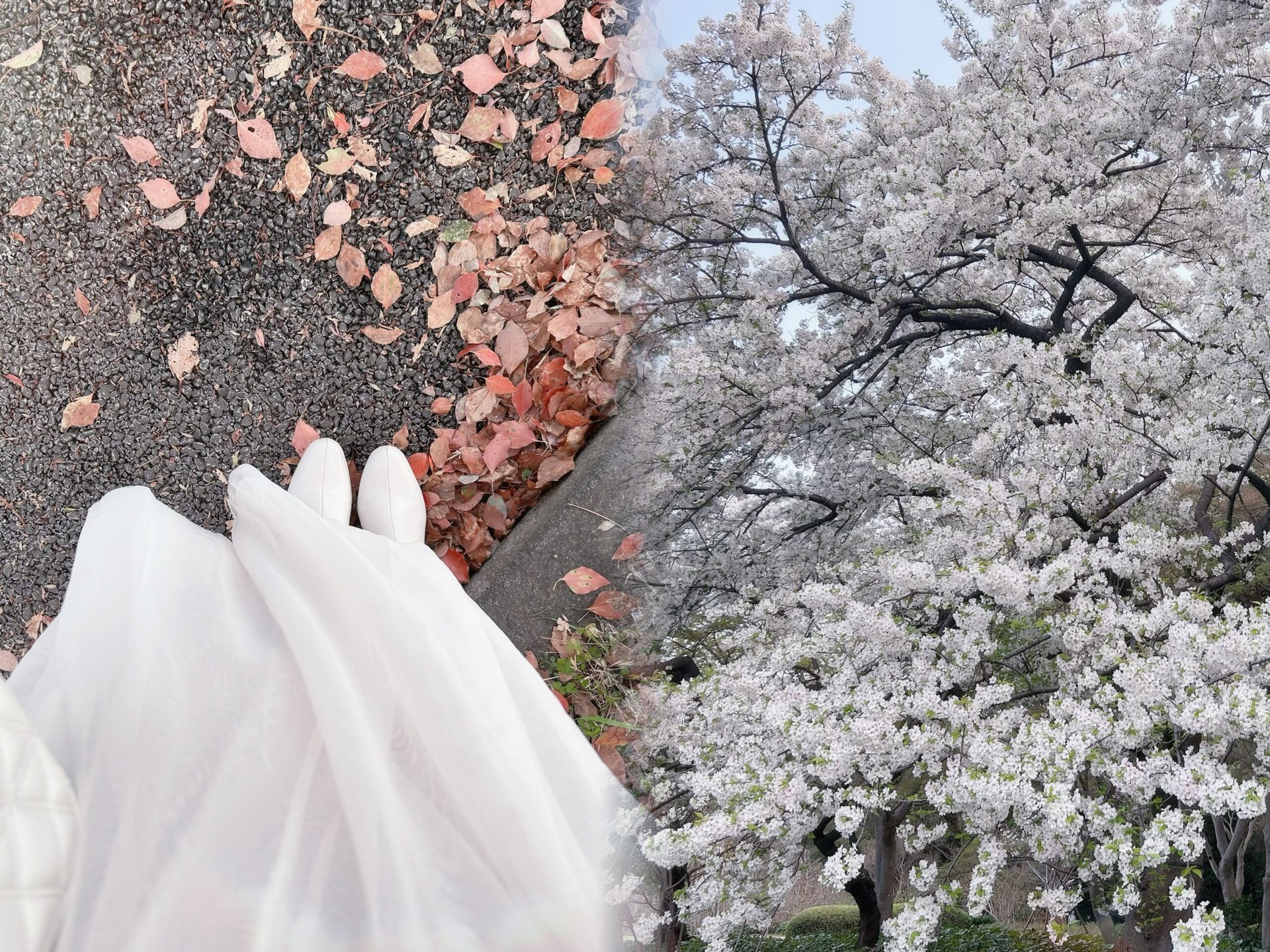 IMG 4947 scaled | 秋葉原メンズエステ ウィール 〜Weal〜