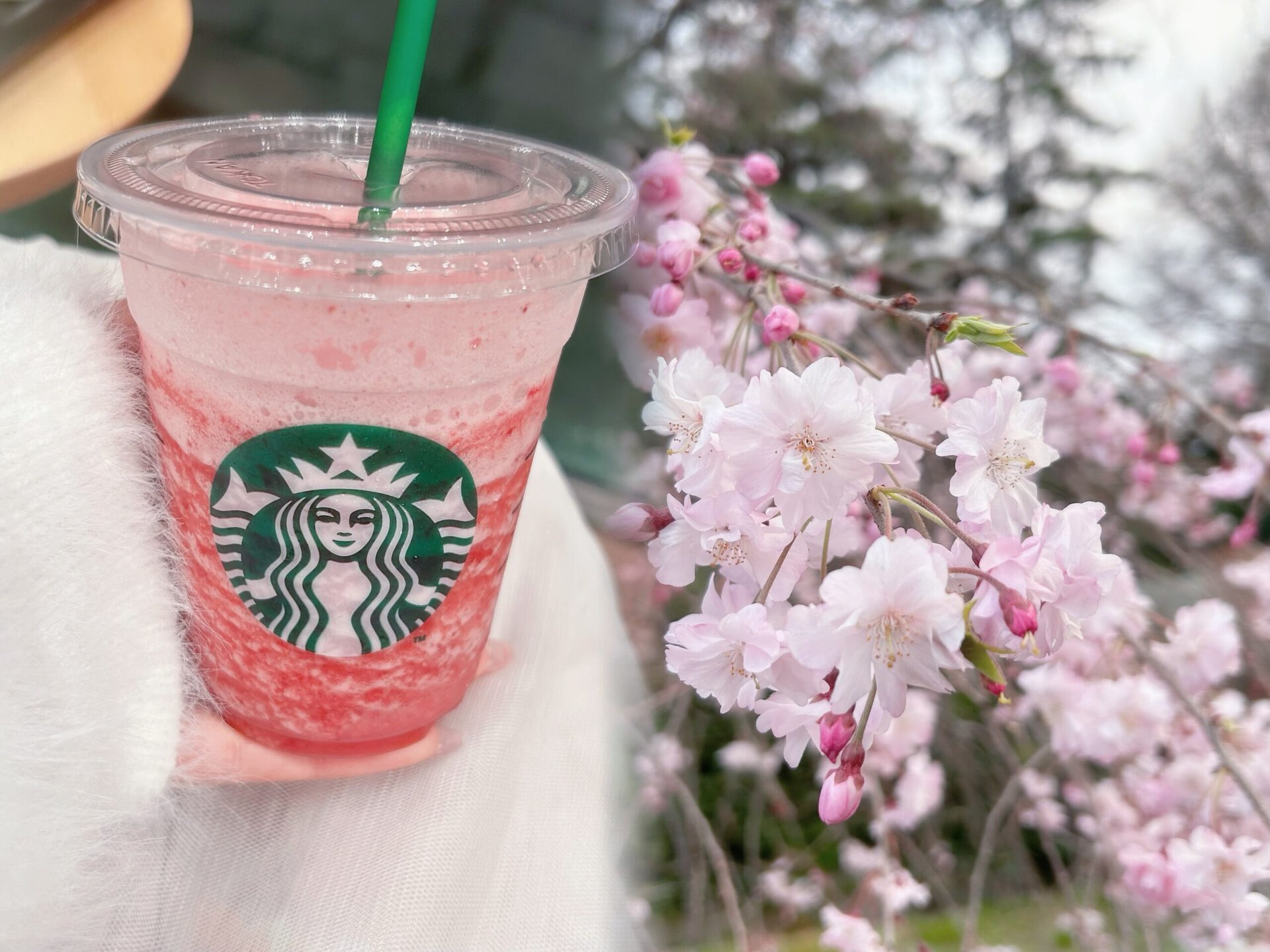 IMG 4948 scaled | 秋葉原メンズエステ ウィール 〜Weal〜